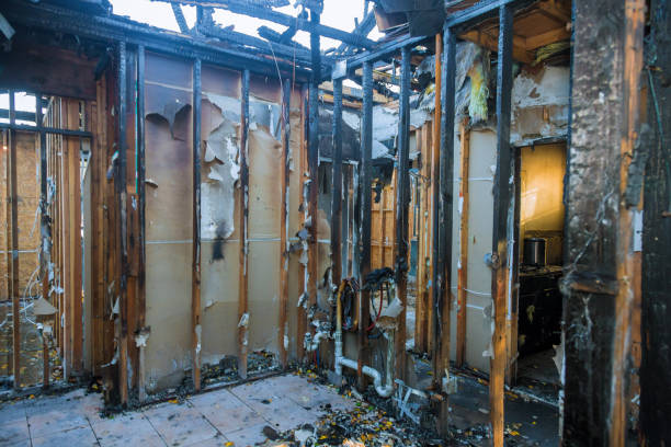 Professional Structural Rebuild technician working in Severna Park, MD
